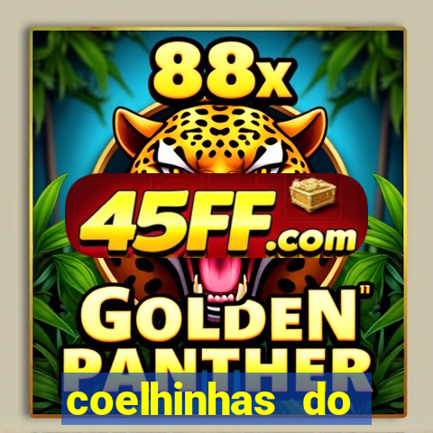 coelhinhas do brasil acompanhantes